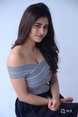 Nabha Natesh New Photos